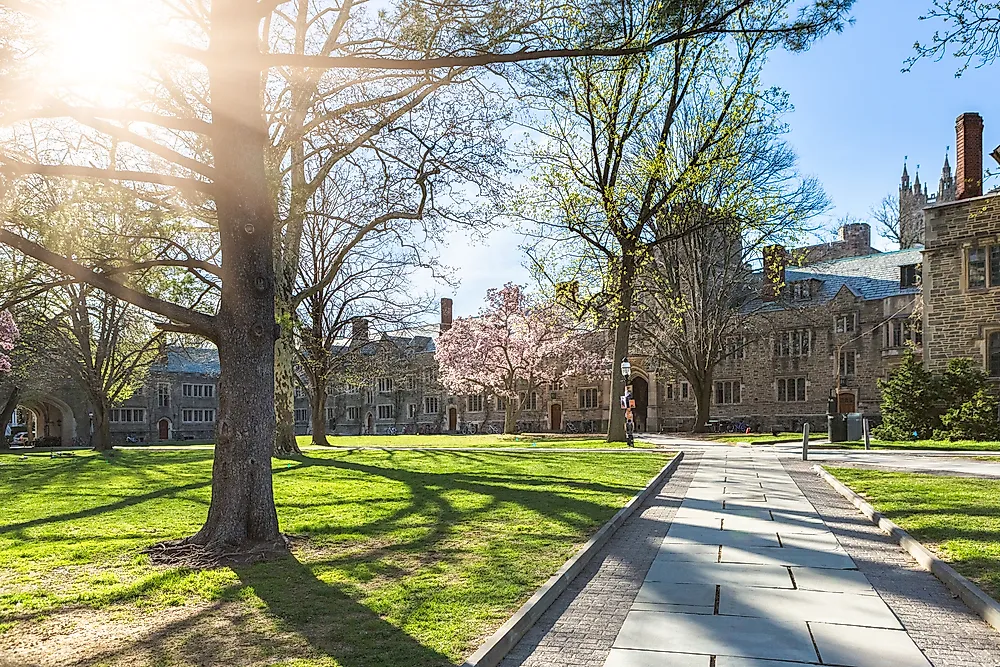 An honest reflection on the importance of attending a top university